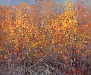 Краски осени. 50х60см. х.м. 2014г.(В частной коллекции)